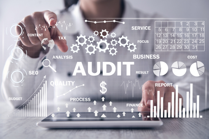 Website Audit  Services